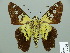 ( - HESP-EB 01 276)  @11 [ ] Copyright (2010) Unspecified Research Collection of Ernst Brockmann