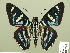  ( - HESP-EB 01 280)  @11 [ ] Copyright (2010) Unspecified Research Collection of Ernst Brockmann