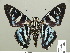  ( - HESP-EB 01 282)  @11 [ ] Copyright (2010) Unspecified Research Collection of Ernst Brockmann