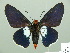  ( - HESP-EB 01 313)  @12 [ ] Copyright (2010) Unspecified Research Collection of Ernst Brockmann