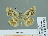  ( - HESP-EB 01 322)  @13 [ ] Copyright (2010) Unspecified Research Collection of Ernst Brockmann