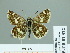  ( - HESP-EB 01 322)  @14 [ ] Copyright (2010) Unspecified Research Collection of Ernst Brockmann