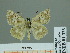  ( - HESP-EB 01 323)  @13 [ ] Copyright (2010) Unspecified Research Collection of Ernst Brockmann