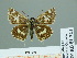  ( - HESP-EB 01 323)  @14 [ ] Copyright (2010) Unspecified Research Collection of Ernst Brockmann