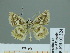  ( - HESP-EB 01 324)  @13 [ ] Copyright (2010) Unspecified Research Collection of Ernst Brockmann