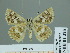  ( - HESP-EB 01 325)  @13 [ ] Copyright (2010) Unspecified Research Collection of Ernst Brockmann