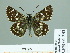  ( - HESP-EB 01 332)  @14 [ ] Copyright (2010) Unspecified Research Collection of Ernst Brockmann