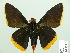  ( - HESP-EB 14 015)  @12 [ ] Copyright (2010) Unspecified Research Collection of Ernst Brockmann