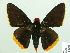  ( - HESP-EB 14 015)  @14 [ ] Copyright (2010) Unspecified Research Collection of Ernst Brockmann