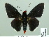  ( - HESP-EB 14 036)  @11 [ ] Copyright (2010) Unspecified Research Collection of Ernst Brockmann