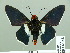  ( - HESP-EB 14 051)  @11 [ ] Copyright (2010) Unspecified Research Collection of Ernst Brockmann