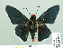  ( - HESP-EB 14 051)  @11 [ ] Copyright (2010) Unspecified Research Collection of Ernst Brockmann