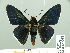  ( - HESP-EB 14 068)  @11 [ ] Copyright (2010) Unspecified Research Collection of Ernst Brockmann