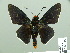  ( - HESP-EB 14 070)  @11 [ ] Copyright (2010) Unspecified Research Collection of Ernst Brockmann