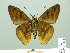  ( - HESP-EB 01 410)  @12 [ ] Copyright (2010) Unspecified Research Collection of Ernst Brockmann