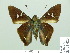  ( - HESP-EB 01 423)  @12 [ ] Copyright (2010) Unspecified Research Collection of Ernst Brockmann