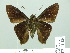  ( - HESP-EB 01 424)  @14 [ ] Copyright (2010) Unspecified Research Collection of Ernst Brockmann