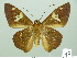  ( - HESP-EB 01 425)  @14 [ ] Copyright (2010) Unspecified Research Collection of Ernst Brockmann