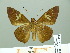  ( - HESP-EB 01 428)  @14 [ ] Copyright (2010) Unspecified Research Collection of Ernst Brockmann