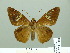  ( - HESP-EB 01 428)  @14 [ ] Copyright (2010) Unspecified Research Collection of Ernst Brockmann
