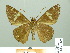  ( - HESP-EB 01 429)  @14 [ ] Copyright (2010) Unspecified Research Collection of Ernst Brockmann