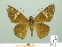 ( - HESP-EB 01 429)  @14 [ ] Copyright (2010) Unspecified Research Collection of Ernst Brockmann