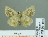  ( - HESP-EB 01 440)  @13 [ ] Copyright (2010) Unspecified Research Collection of Ernst Brockmann