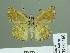  ( - HESP-EB 01 460)  @13 [ ] Copyright (2010) Unspecified Research Collection of Ernst Brockmann