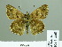  ( - HESP-EB 01 460)  @13 [ ] Copyright (2010) Unspecified Research Collection of Ernst Brockmann