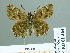  ( - HESP-EB 01 464)  @13 [ ] Copyright (2010) Unspecified Research Collection of Ernst Brockmann