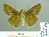  ( - HESP-EB 01 474)  @14 [ ] Copyright (2010) Unspecified Research Collection of Ernst Brockmann