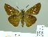  ( - HESP-EB 01 474)  @14 [ ] Copyright (2010) Unspecified Research Collection of Ernst Brockmann
