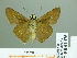  ( - HESP-EB 01 475)  @13 [ ] Copyright (2010) Unspecified Research Collection of Ernst Brockmann