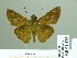  ( - HESP-EB 01 475)  @14 [ ] Copyright (2010) Unspecified Research Collection of Ernst Brockmann