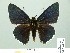  ( - HESP-EB 01 534)  @11 [ ] Copyright (2010) Unspecified Research Collection of Ernst Brockmann