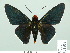  ( - HESP-EB 01 539)  @11 [ ] Copyright (2010) Unspecified Research Collection of Ernst Brockmann