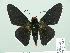  ( - HESP-EB 01 542)  @15 [ ] Copyright (2010) Unspecified Research Collection of Ernst Brockmann