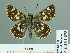  ( - HESP-EB 01 573)  @13 [ ] Copyright (2010) Unspecified Research Collection of Ernst Brockmann