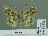  ( - HESP-EB 01 574)  @13 [ ] Copyright (2010) Unspecified Research Collection of Ernst Brockmann