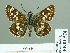 ( - HESP-EB 01 574)  @13 [ ] Copyright (2010) Unspecified Research Collection of Ernst Brockmann