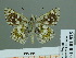  ( - HESP-EB 01 575)  @13 [ ] Copyright (2010) Unspecified Research Collection of Ernst Brockmann