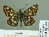  ( - HESP-EB 01 575)  @14 [ ] Copyright (2010) Unspecified Research Collection of Ernst Brockmann