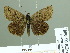  ( - HESP-EB 01608)  @13 [ ] Copyright (2010) Ernst Brockmann Research Collection of Ernst Brockmann