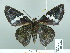  ( - HESP-EB 01610)  @13 [ ] Copyright (2010) Ernst Brockmann Research Collection of Ernst Brockmann