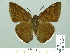  ( - HESP-EB 01632)  @14 [ ] Copyright (2010) Ernst Brockmann Research Collection of Ernst Brockmann