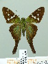  ( - HESP-EB 01638)  @14 [ ] Copyright (2010) Ernst Brockmann Research Collection of Ernst Brockmann