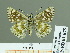  ( - HESP-EB 01675)  @13 [ ] Copyright (2010) Ernst Brockmann Research Collection of Ernst Brockmann