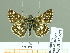  ( - HESP-EB 01677)  @13 [ ] Copyright (2010) Ernst Brockmann Research Collection of Ernst Brockmann