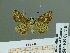  ( - HESP-EB 01740)  @13 [ ] Copyright (2010) Ernst Brockmann Research Collection of Ernst Brockmann