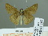  ( - HESP-EB 01747)  @13 [ ] Copyright (2010) Ernst Brockmann Research Collection of Ernst Brockmann